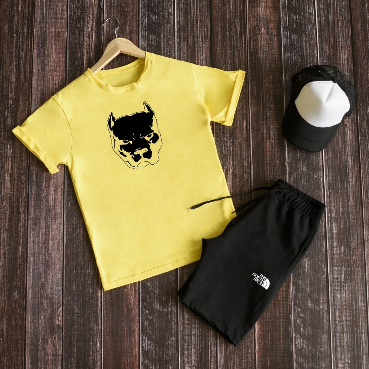 Літній спортивний костюм The North Face футболка + шорти Pitbull TNF