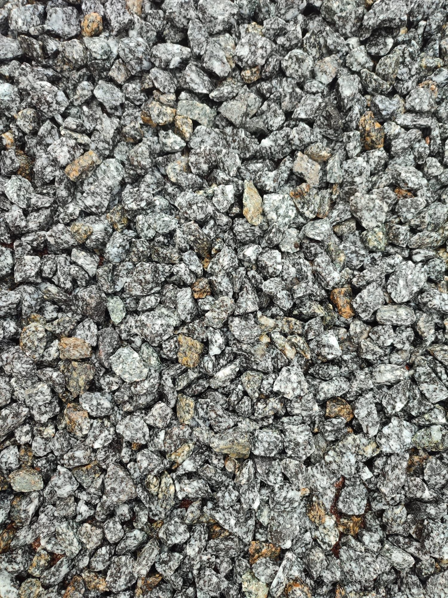 Grys granitowy DALMATYŃCZYK Kamień ozdobny TRANSPORT