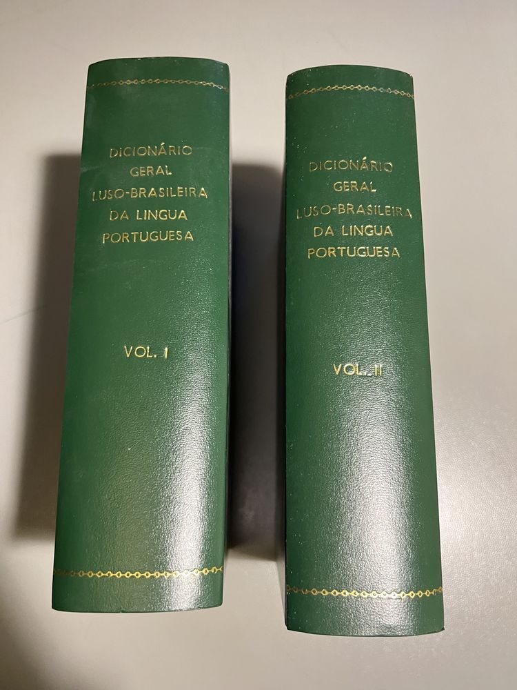 Coleção 2 Livros - Dicionário geral Luso-Brasileira da língua portuguesa