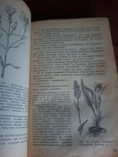 книга лекарственные растения в медицине