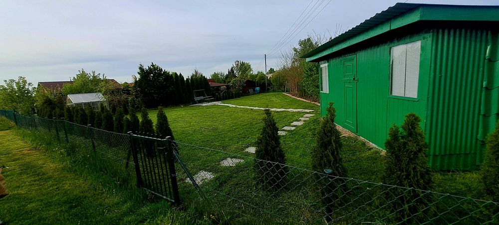 Działka ROD z ogromnym potencjałem