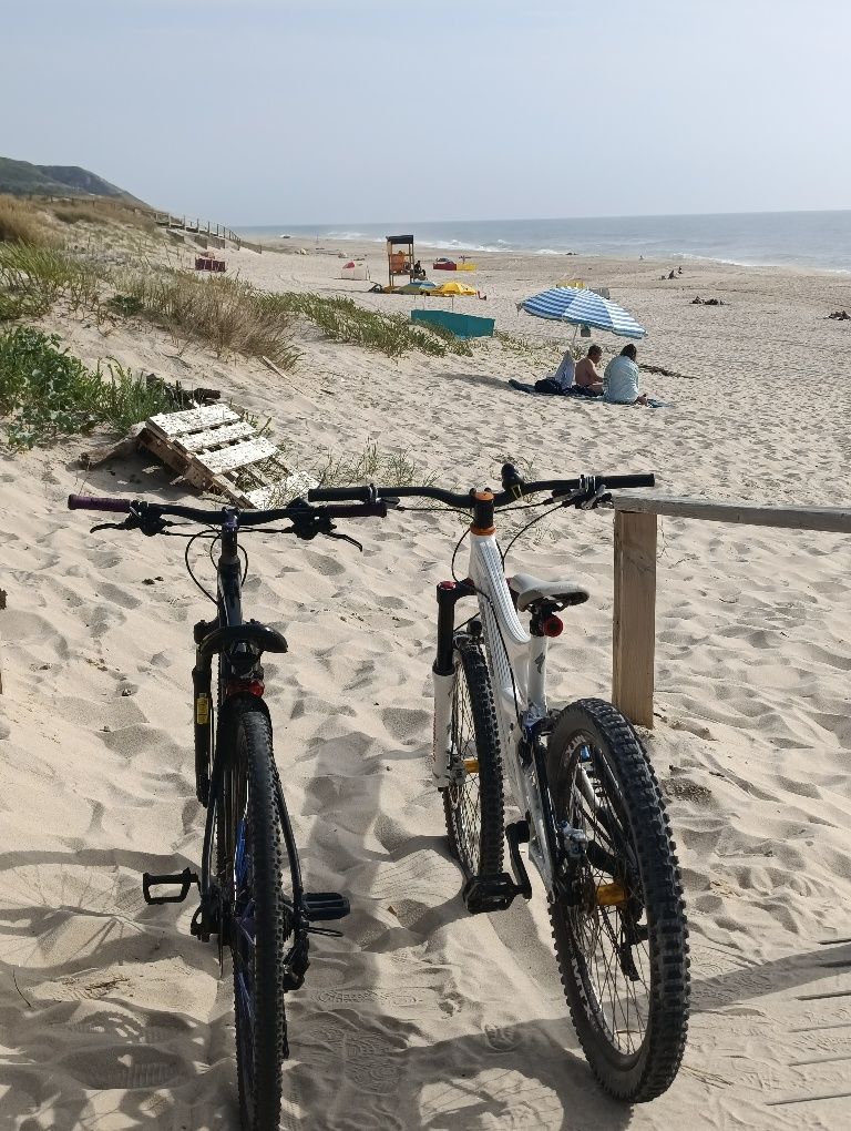 Bike Full Specialized Demo 8 2007