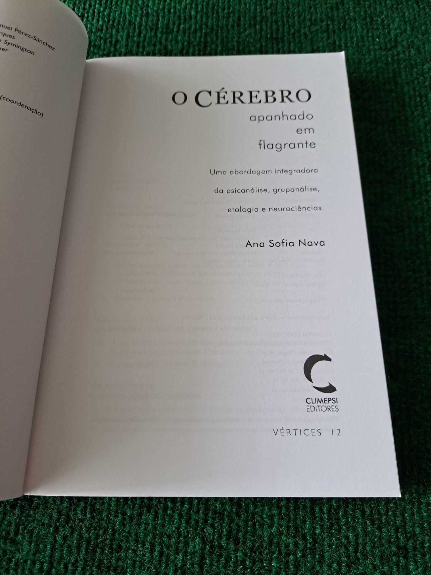 O Cérebro apanhado em flagrante - Ana Sofia Nava