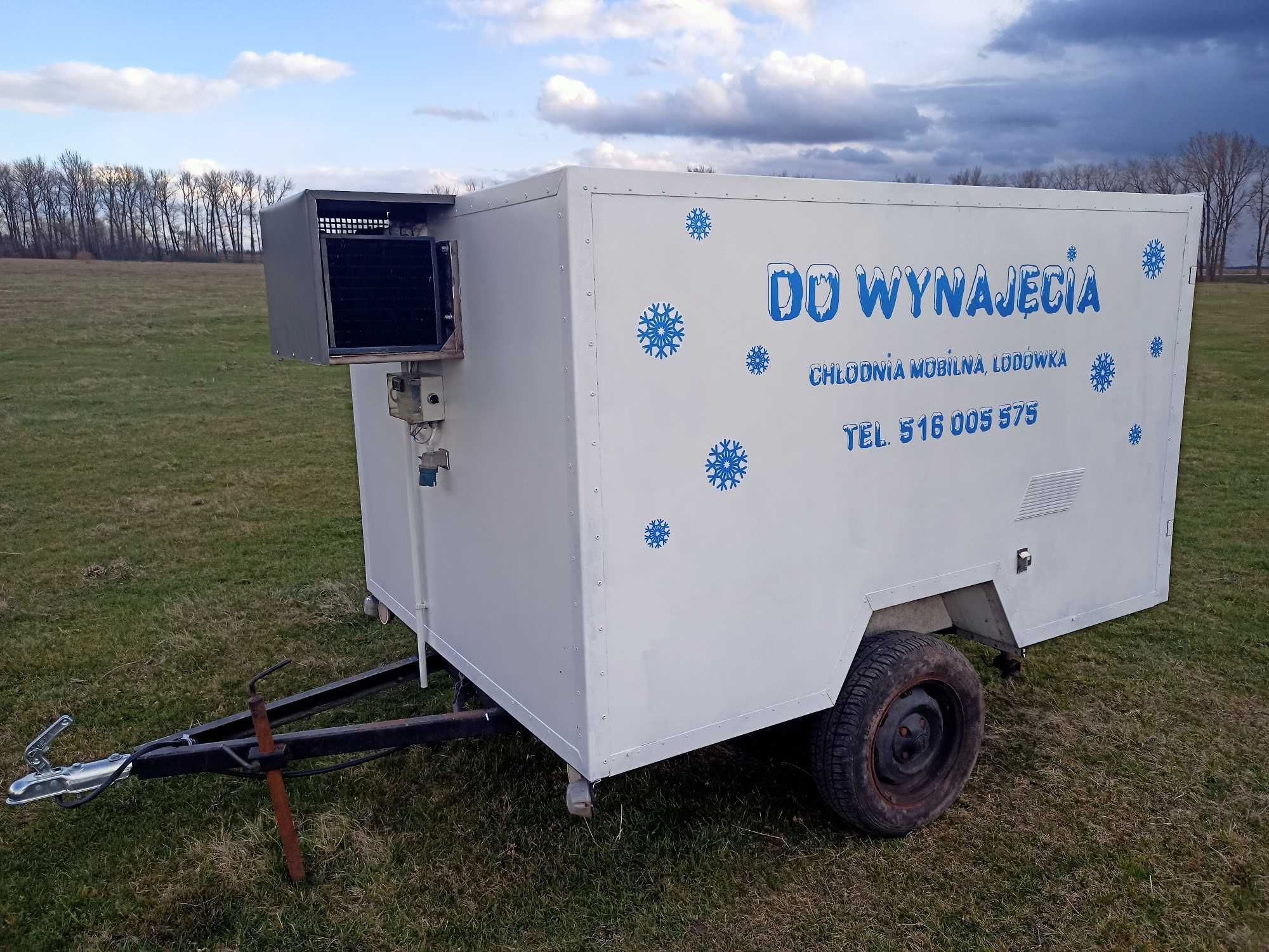 Chłodnia, lodówka mobilna, wynajem