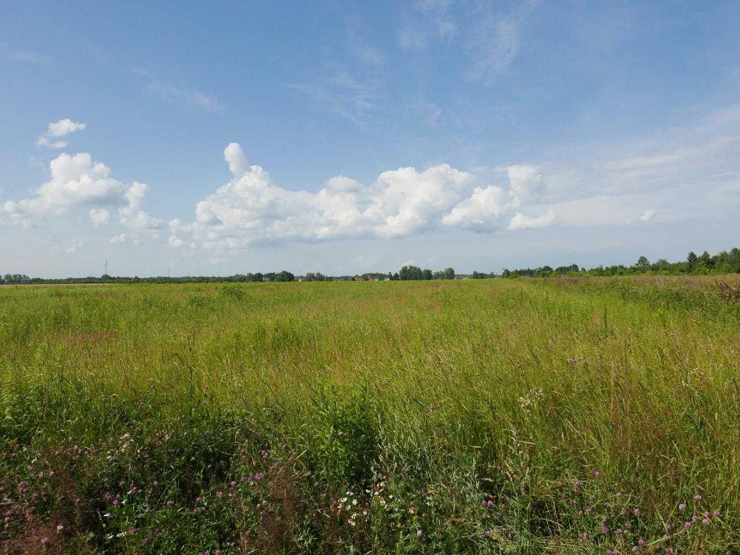 Działka okazyjna bez mediów.