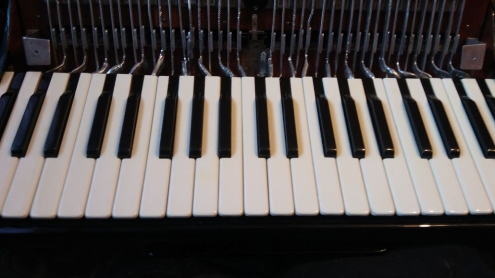 Strojenie,naprawa akordeon