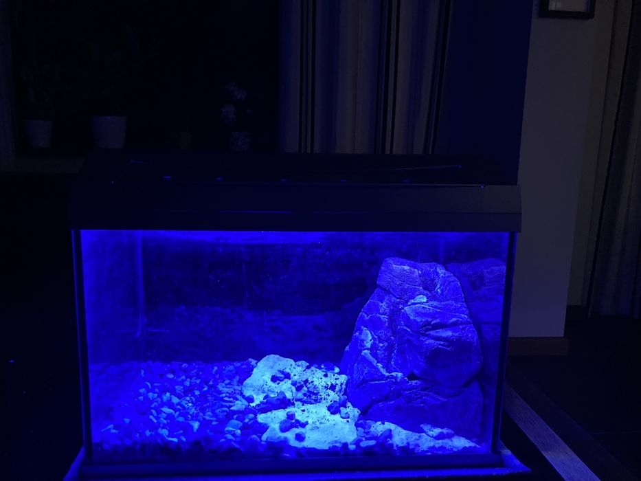 Akwarium TETRA z oświetleniem