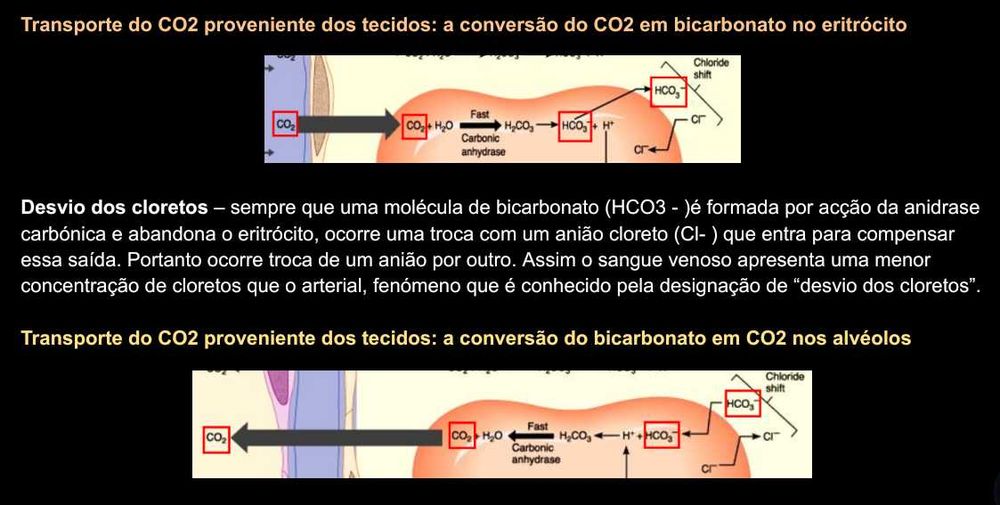 Resumos Completos de Fisiologia Geral