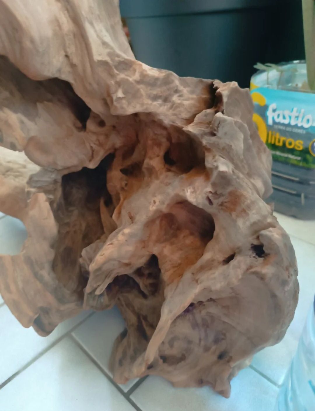 Tronco de aquário