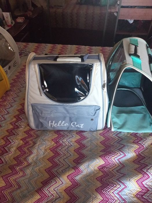 Varias mochilas para transporte de animais