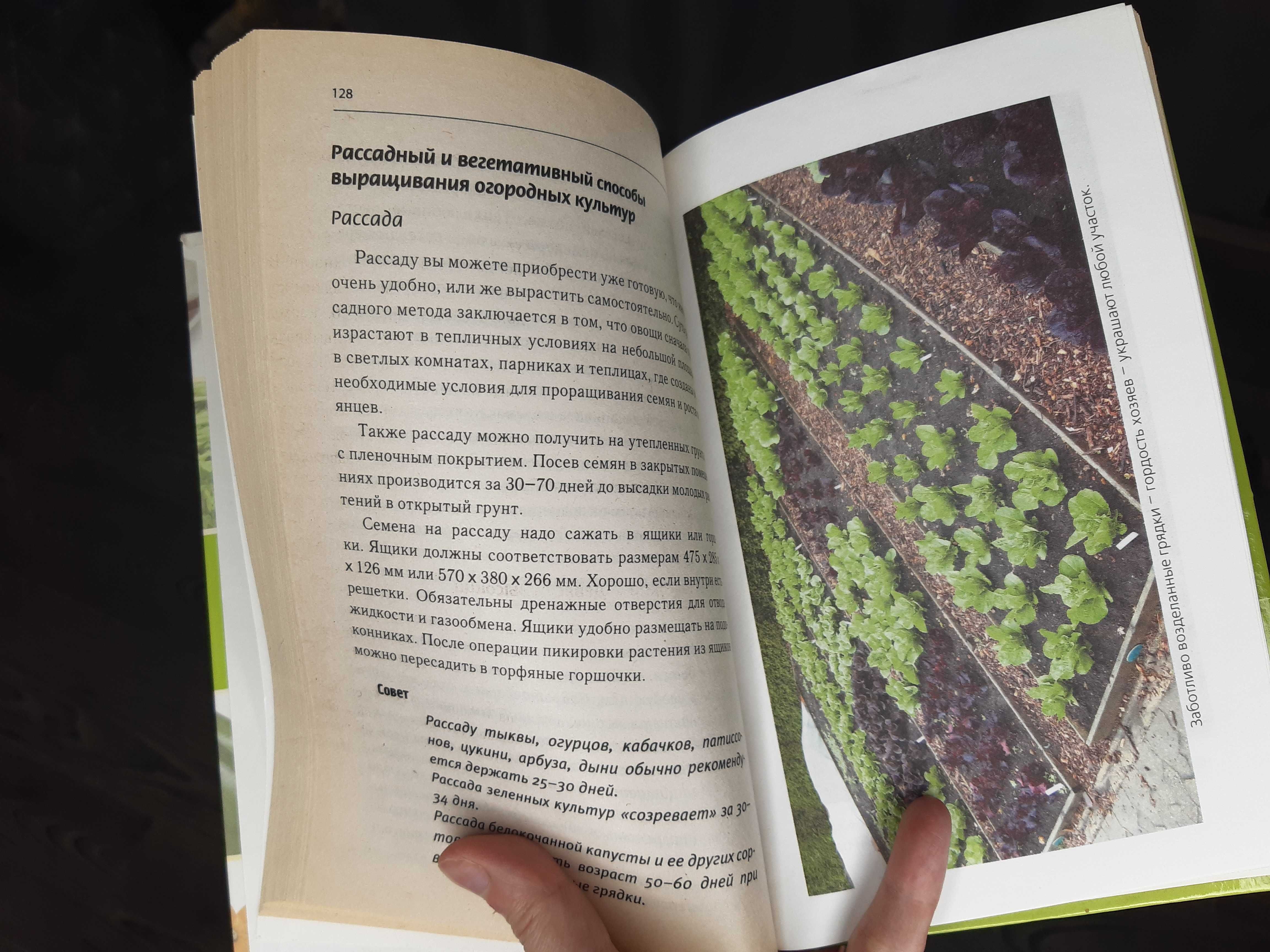 Книга "Наш огород" руководство пособие для огородников