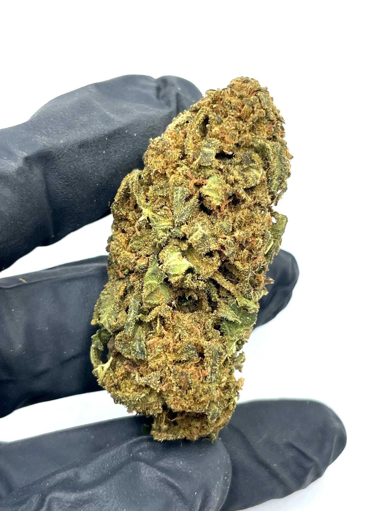 1 Kg Susz konopny CBD Super Silver HAze