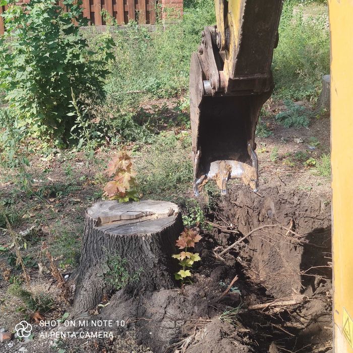 Корчевание пней.