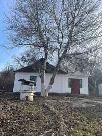Продажа будинку та земельної ділянки  село Бикова Гребля