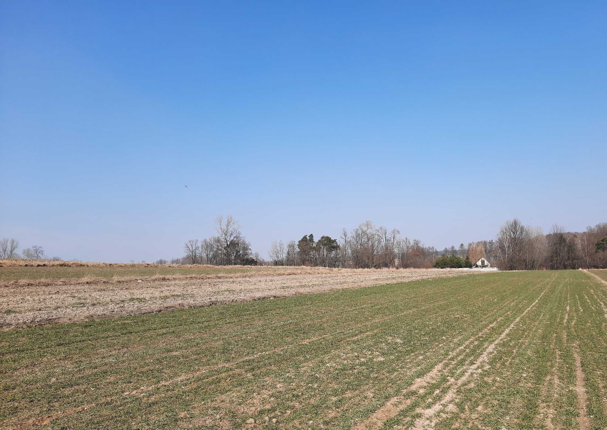 Działka rolno-budowlana Godzianów 7800 m/kw