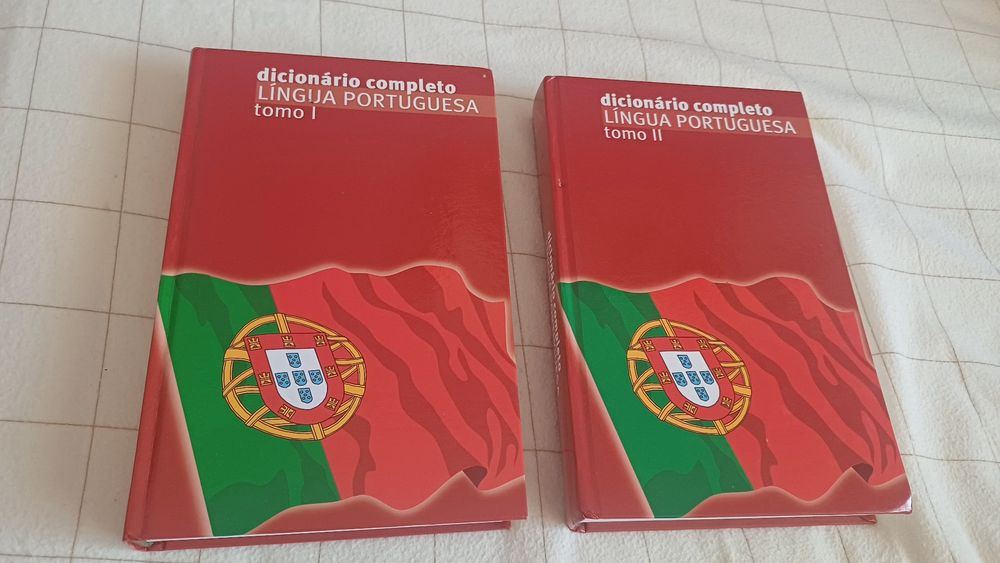 Dicionários língua portuguesa