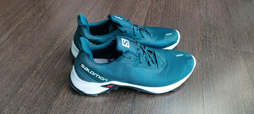 Кросівки Salomon Alphacross 3