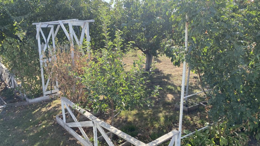 Подаж будинку с. Рокитне