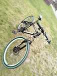 Rower hobo zielony