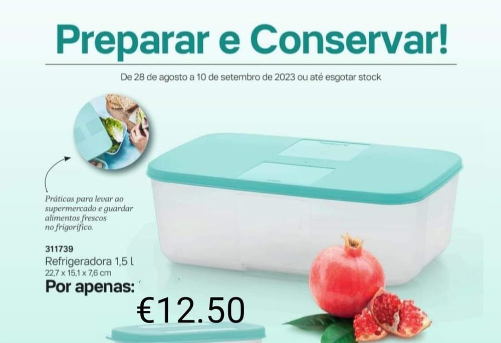 Congeladoras Tupperware 1,1 L  e outras promoções imperdíveis
