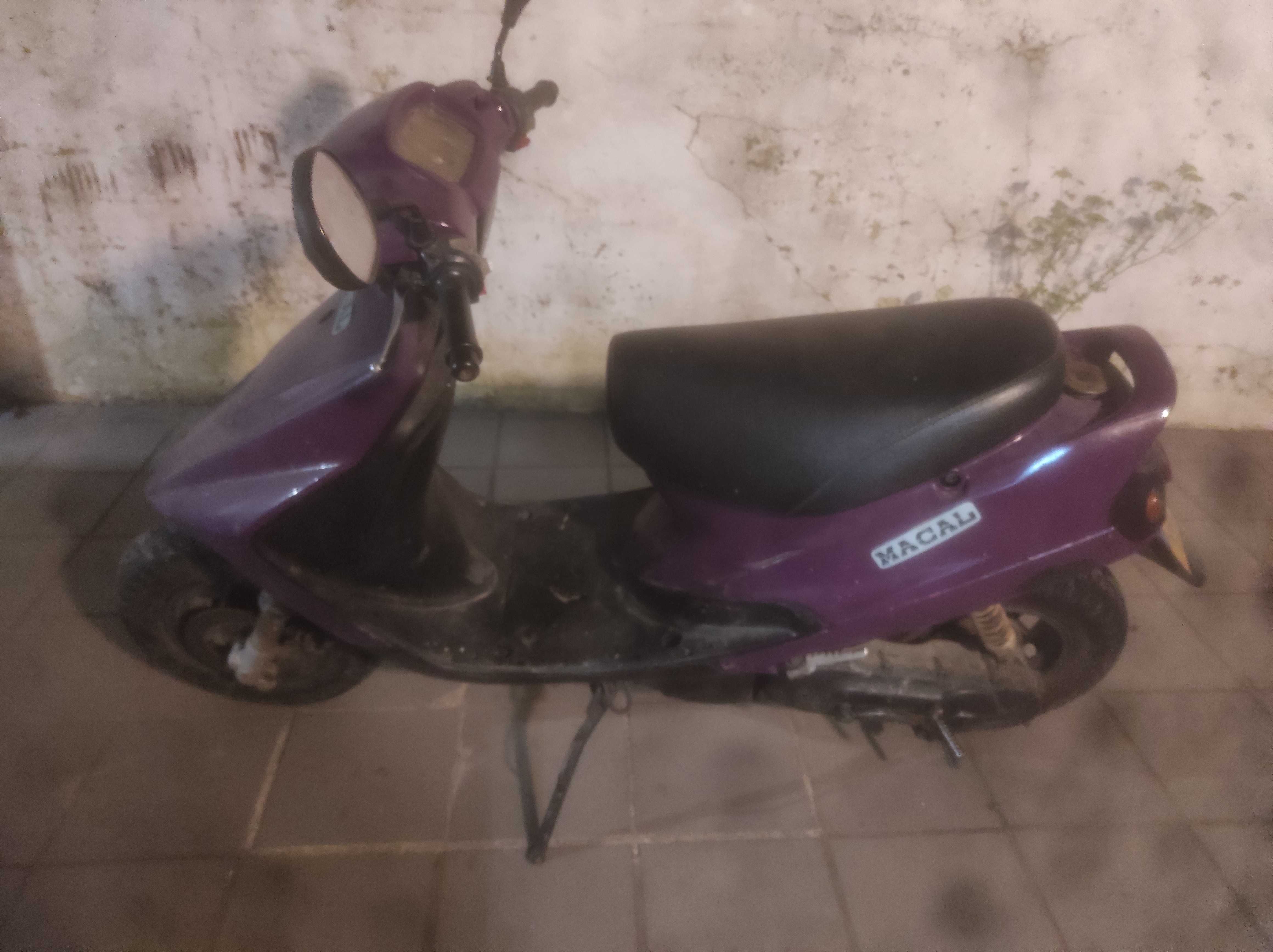 Macal thunder para venda