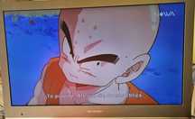 Sharp LCD LC-24LS240EX