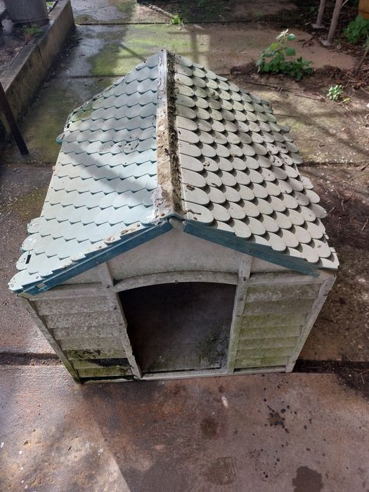 1 casota para cão em fibra