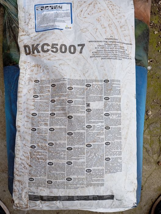 Продам сімена кукурудзи