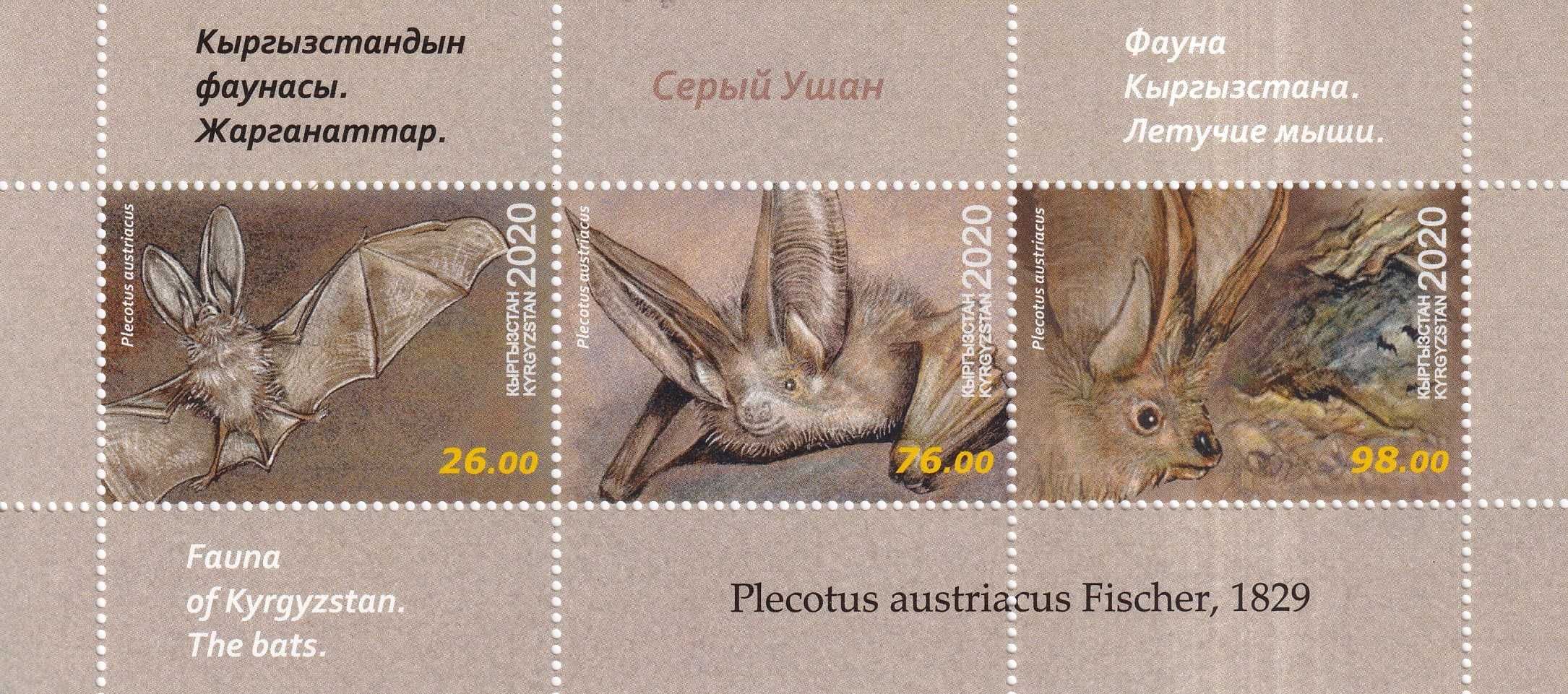 znaczki pocztowe - Kirgistan 2020 cena 14,90 zł kat.10€