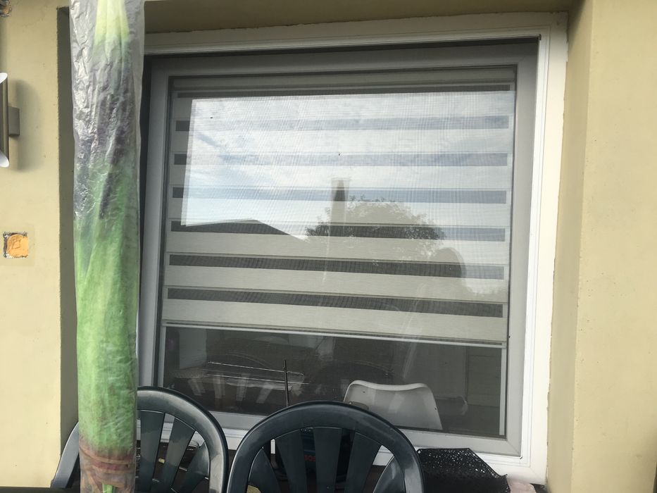 Okno pcv białe z roletą i moskitierą
