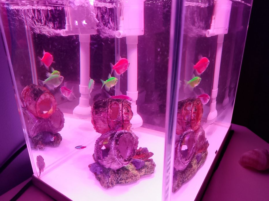 Akwarium na sprzedasz wszystko co na zdj w bardzo dobrym stanie jak no