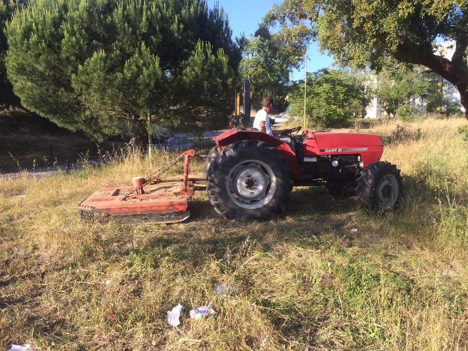 Manutenção de jardins e limpeza de terrenos