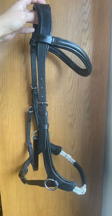 Ogłowie bezwędzidłowe / sidepull