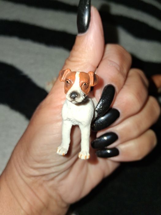 Coleção cães (12)