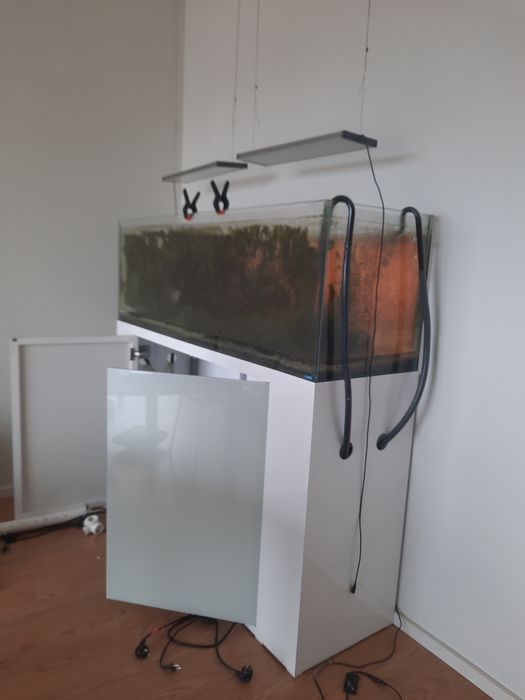 Aquario + móvel + filtros + lâmpadas + muitos acessórios