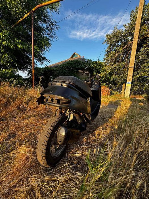 Продам хонда такт цена  огонь