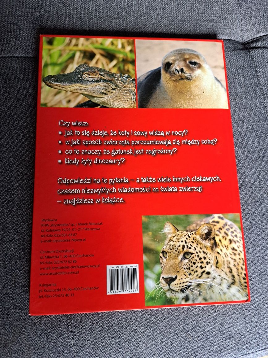 Książka dla dzieci Dzikie zwierzęta