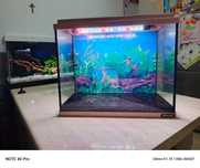 Akwarium zolux 10L led
