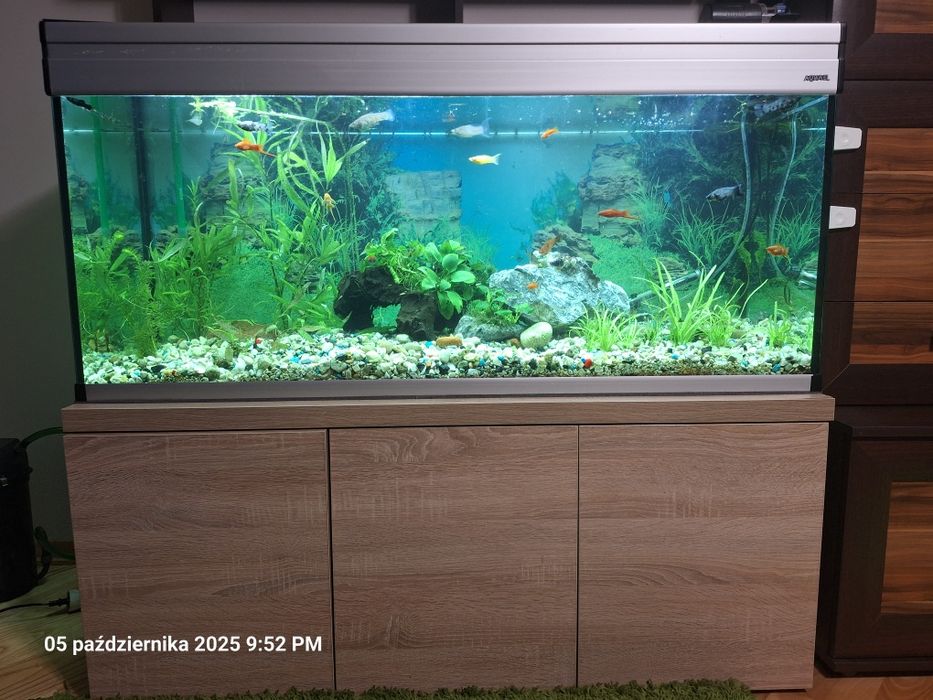 Akwarium AQUAEL 240 l