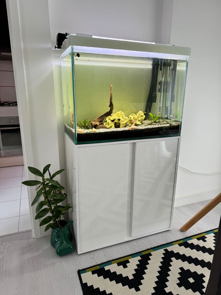 Aquario + movel + acessorios