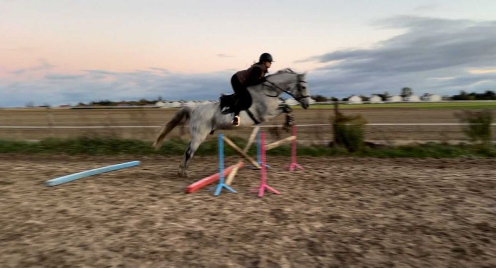 Klacz profesor, bdb charakter