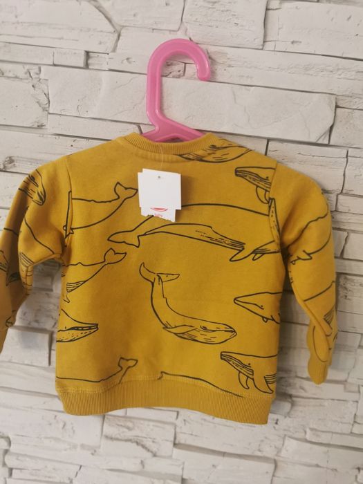 Komplecik bluza z dresami