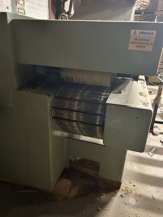 Wielopila Giabbiani grubosciowka