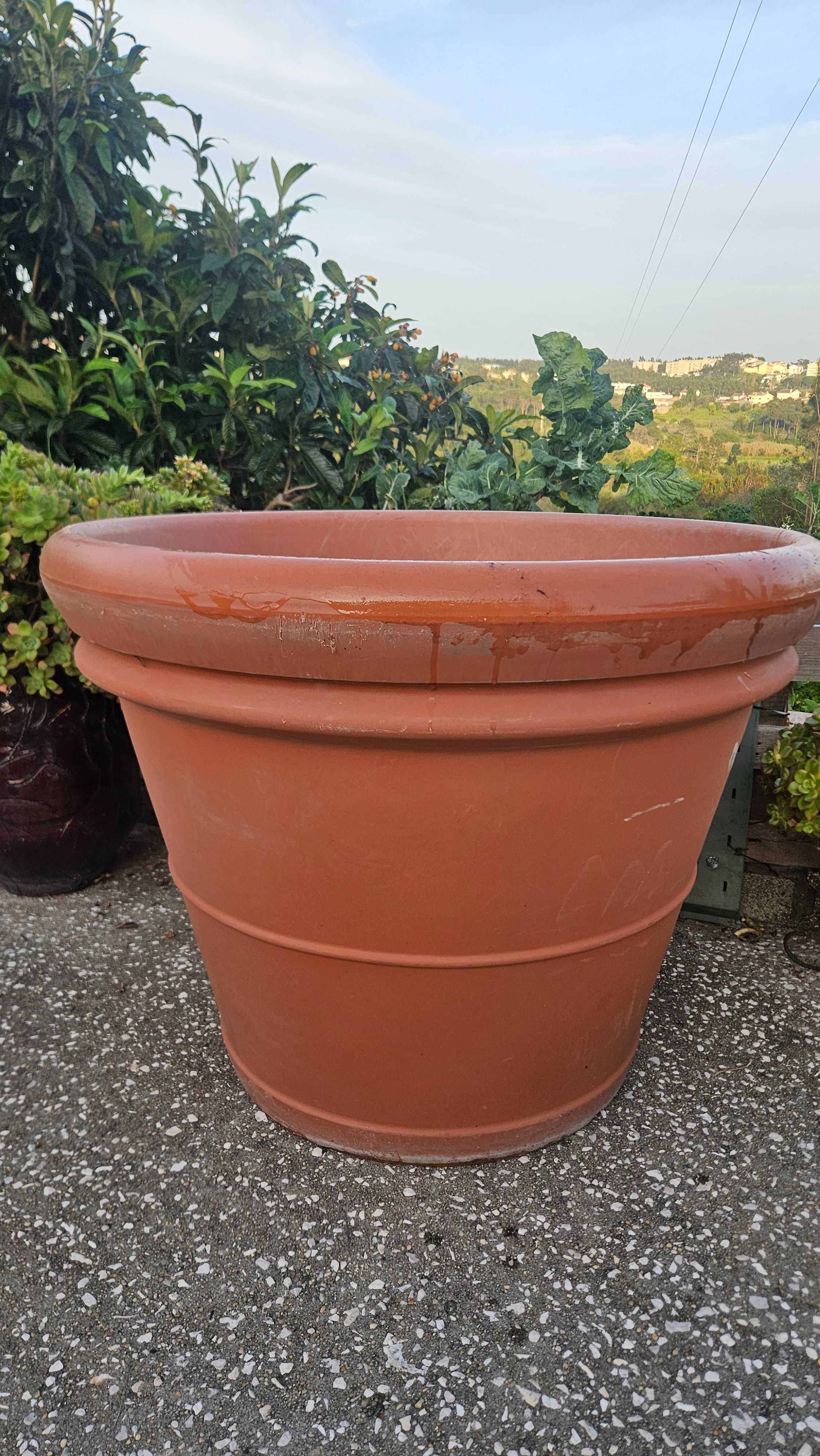 Vaso para plantas ou arvore