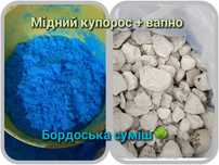 Вапно негашене известь комовая медный купорос селитра кальцева магнієв