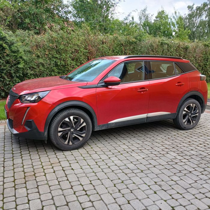 Transport osobowy Rzeszów 24h