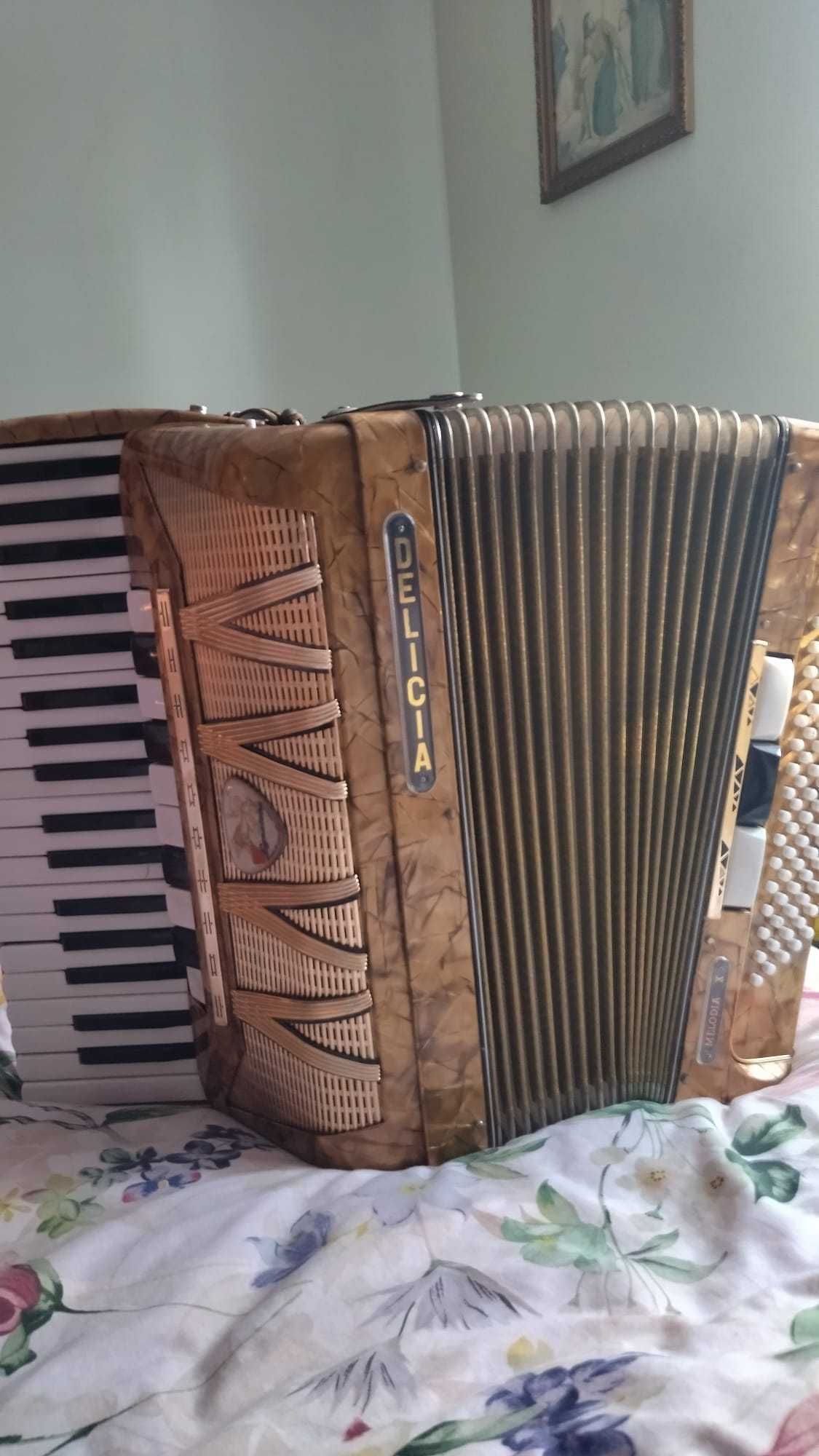 Akordeon Delicia, 4 chóry, 80 basów