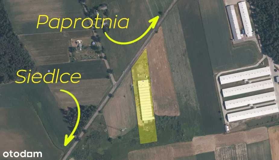 Na wynajem działająca pieczarkarnia Siedlce, 3800m2 produkcji