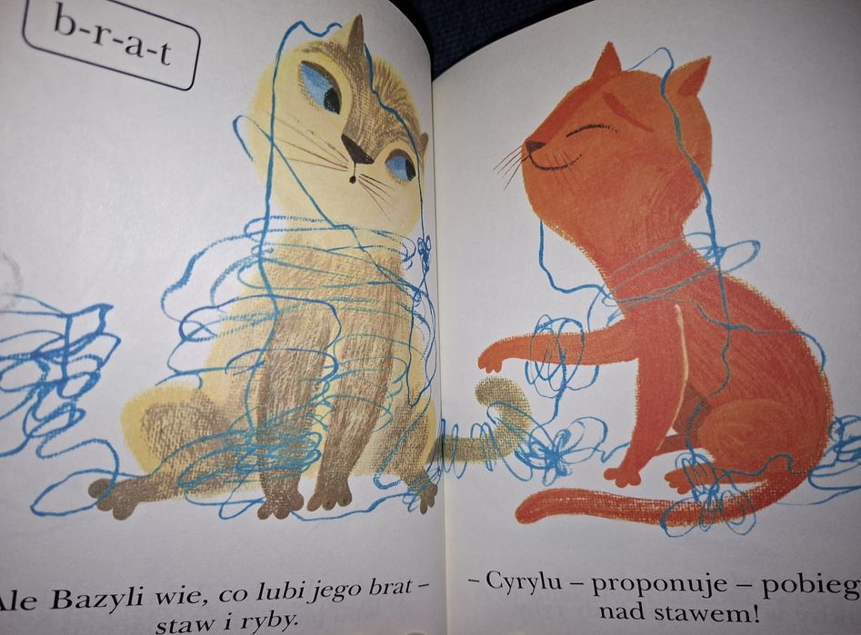 Książka z serii Czytam sobie- Koty i kotki