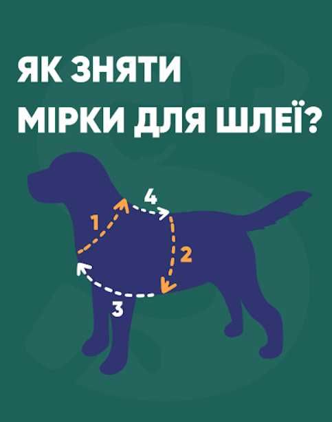 Анатомічна шлея та повідець